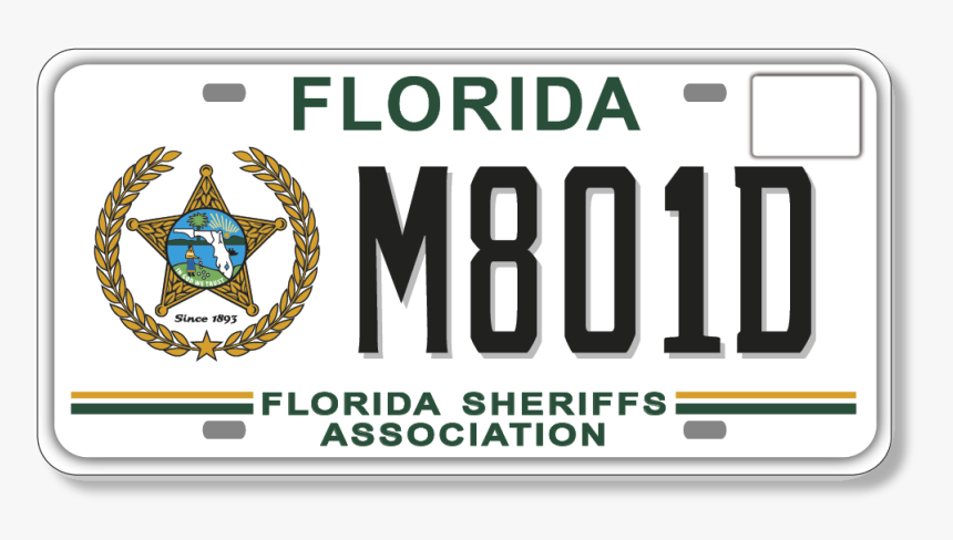 Graphic Of A Florida Sheriffs Association Specialty - Florida Star License Plate, HD Png Download, Free Download