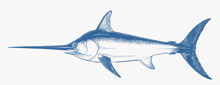 Swordfish, HD Png Download, Free Download