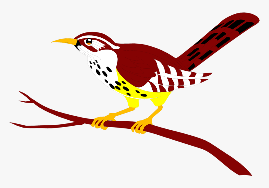Bird Perched On A Branch Clipart , Png Download - Bird Perched On A Branch, Transparent Png, Free Download