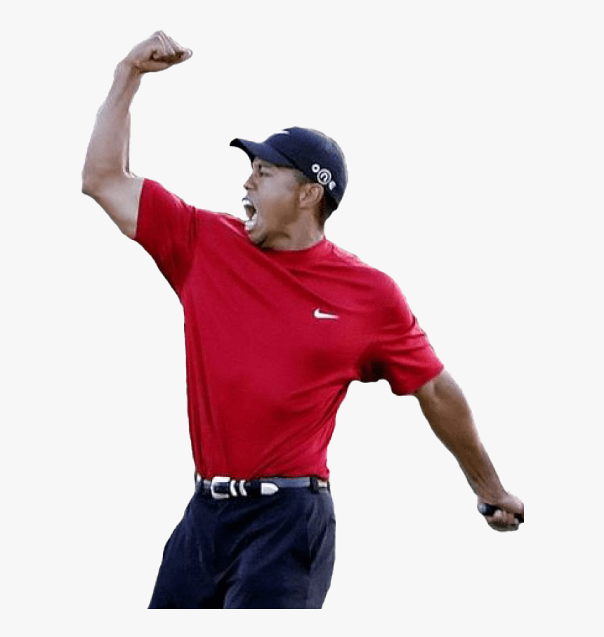 Golfer Tiger Woods Png High-quality Image - Tiger Woods Cut Out, Transparent Png, Free Download