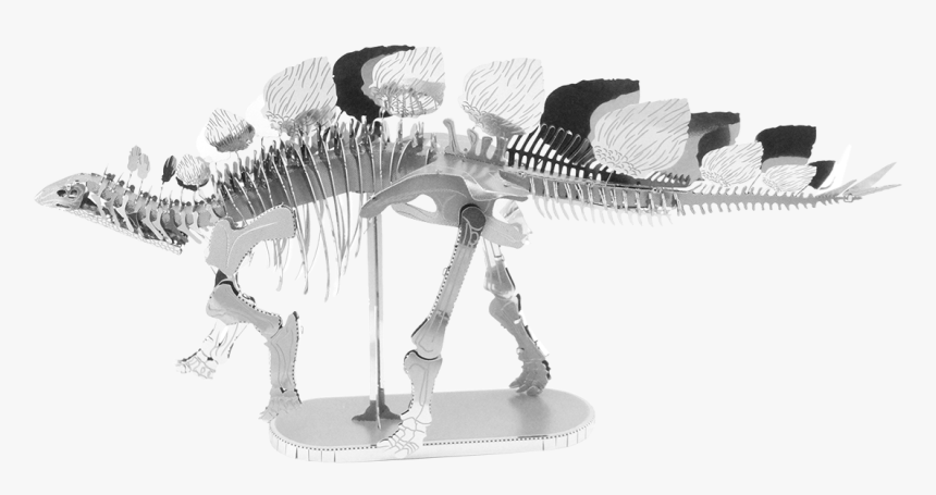 Metal Earth Dinosaur - Metal Earth Stegosaurus, HD Png Download, Free Download