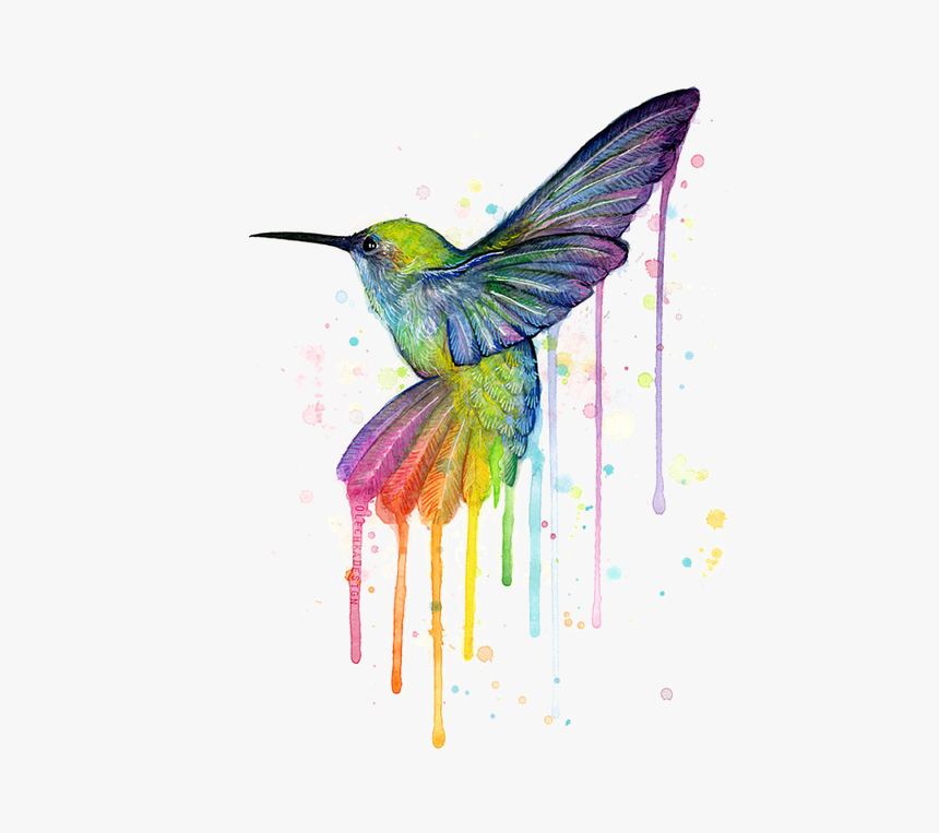 Watercolor Hummingbird, HD Png Download, Free Download