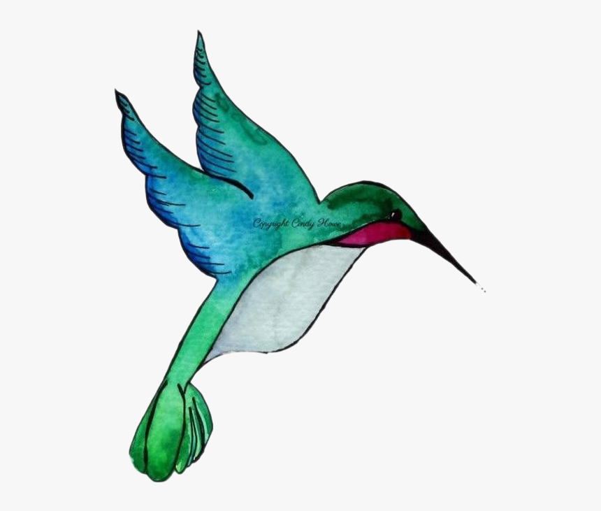 Hummingbird, HD Png Download, Free Download