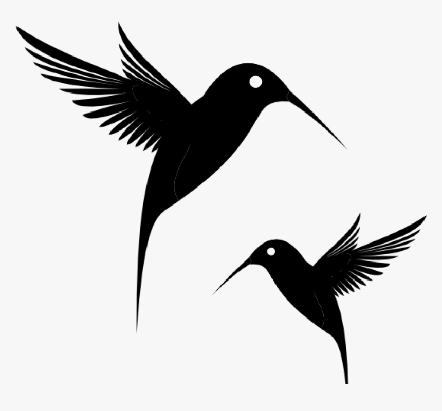 Transparent Feather Clipart Black And White - Flores Colibri Vector Png, Png Download, Free Download