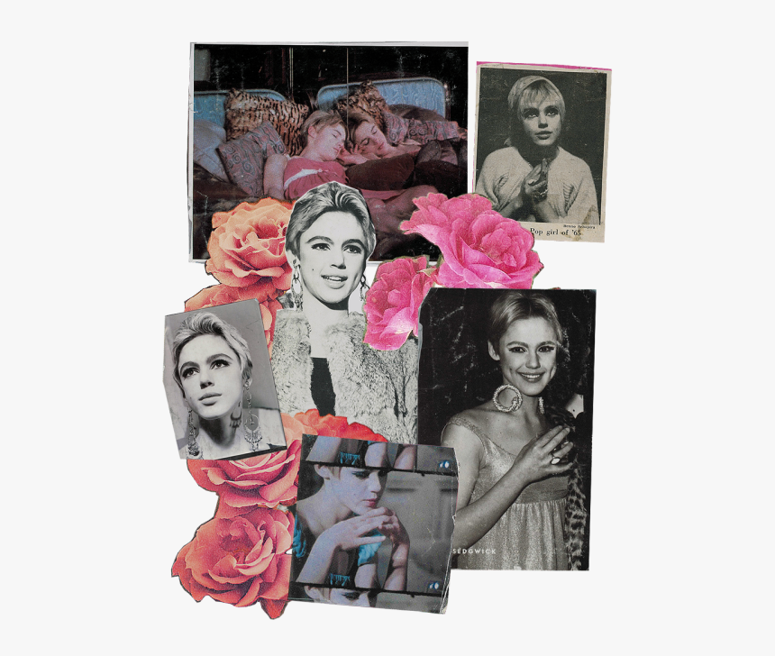 L O O P Y - Edie Sedgwick Collage, HD Png Download, Free Download