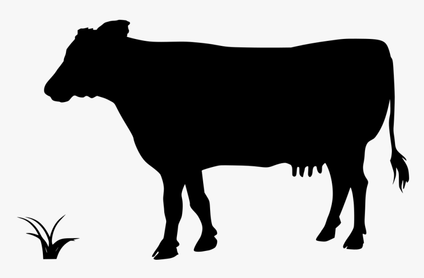 Cattle Branding Clipart Transparent Png , Png Download - Porco Png, Png Download, Free Download