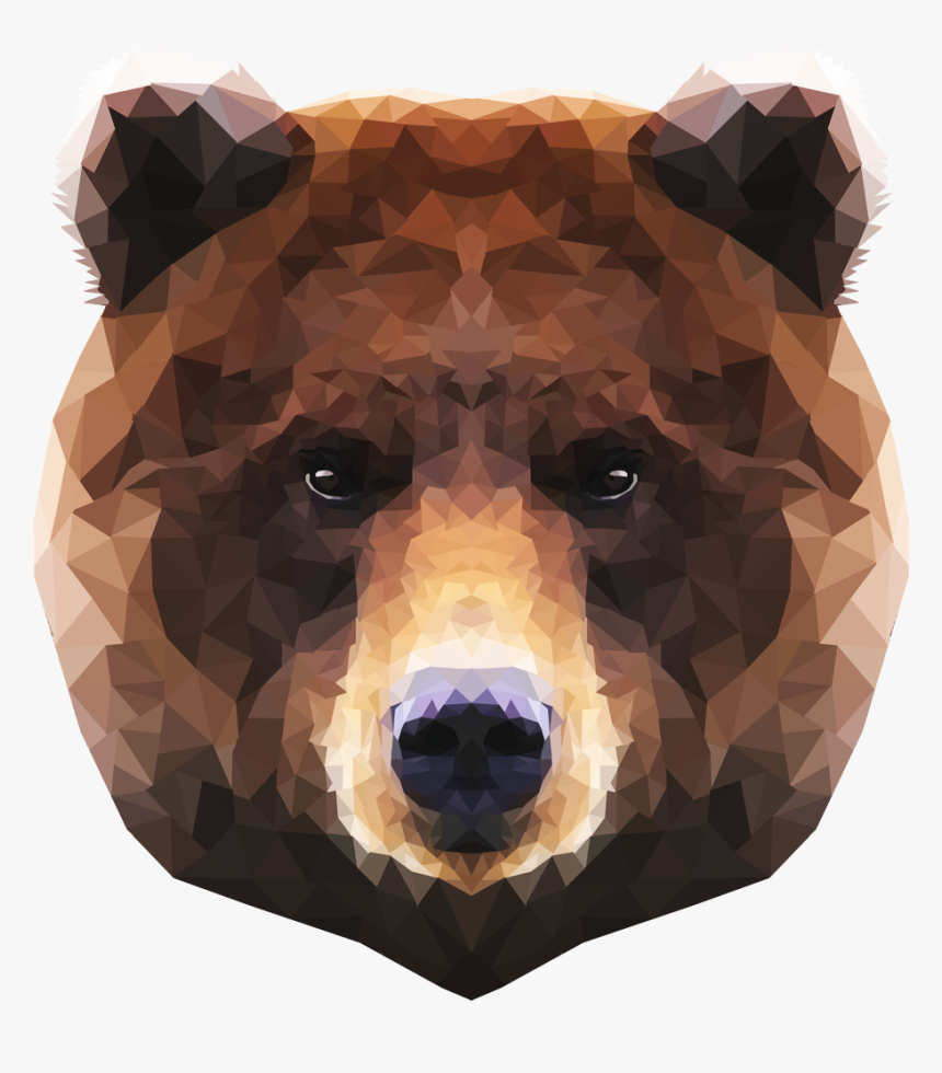 Thumb Image - Brown Polar Bear Face Png, Transparent Png, Free Download
