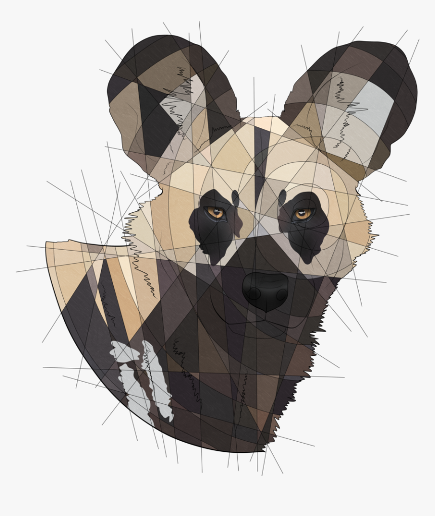 Continuing Drawing Some Of My Favorite Animals 

redbubble
society6  - Lycaon Pictus, HD Png Download, Free Download