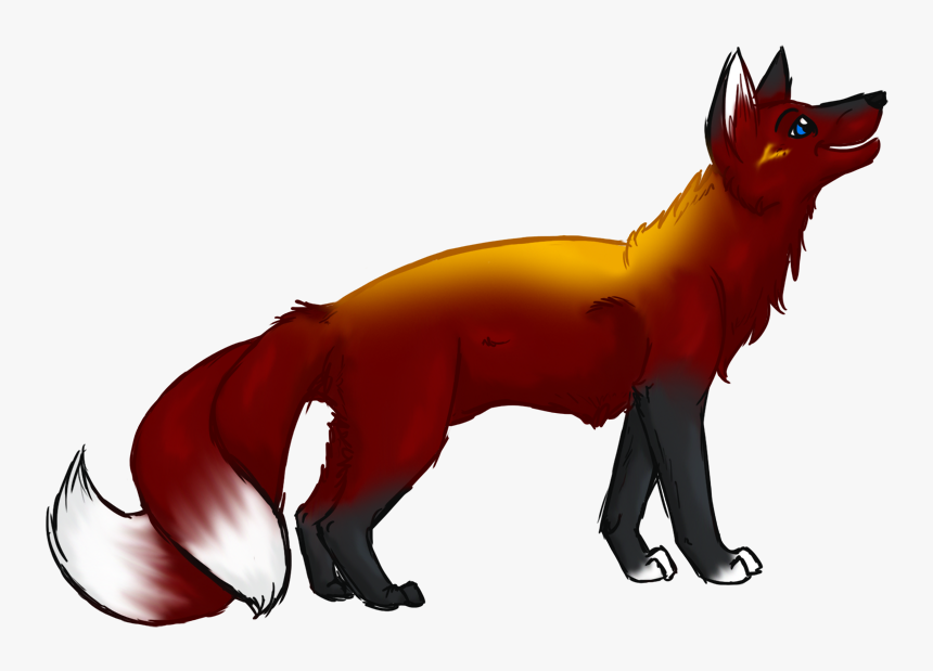 Lil - Red Fox, HD Png Download, Free Download