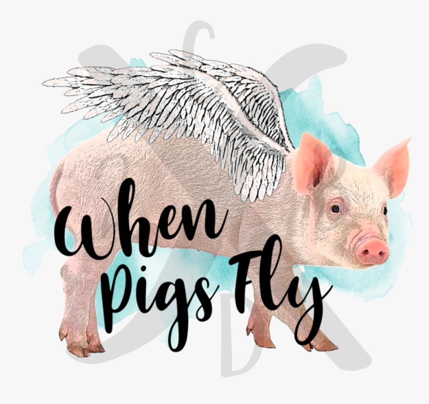 Pigs Png, Transparent Png, Free Download