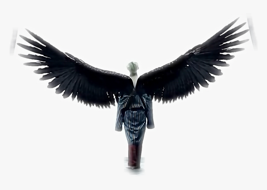 Discover The Coolest - Kim Taehyung With Wings, HD Png Download, Free Download