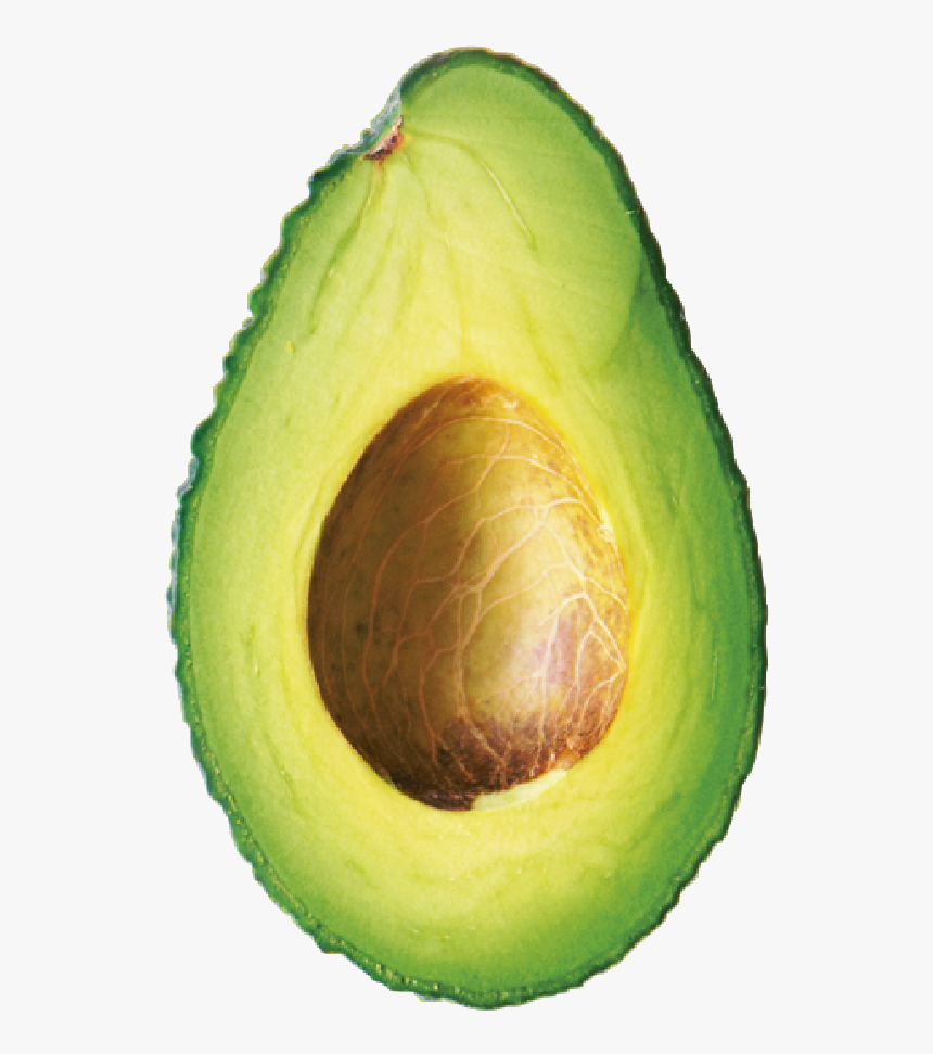 Avocado, HD Png Download, Free Download