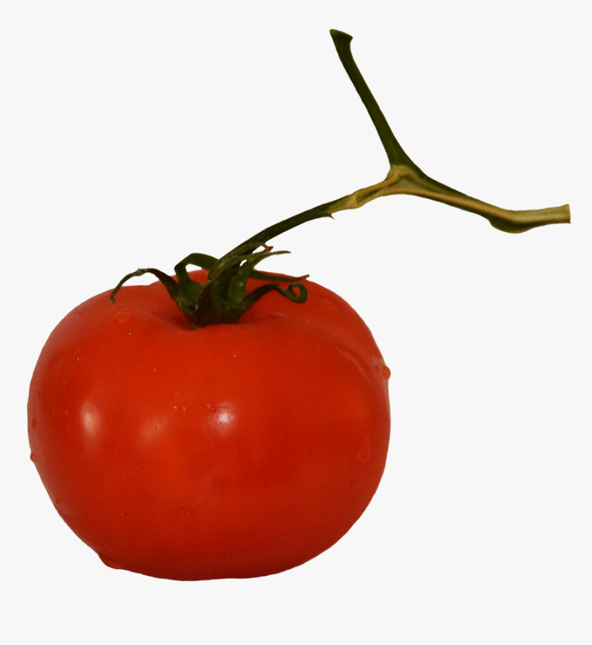 Tomato On Stem - Plum Tomato, HD Png Download, Free Download