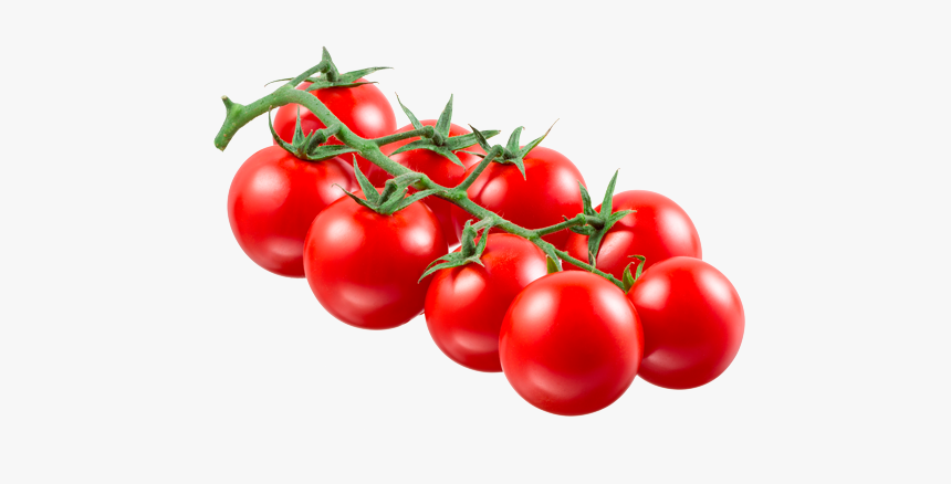 Tomate Rama Png, Transparent Png, Free Download