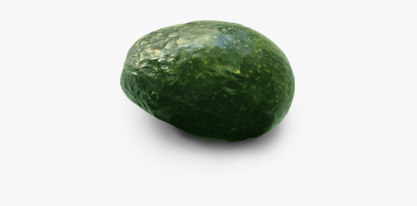 Avocado, HD Png Download, Free Download