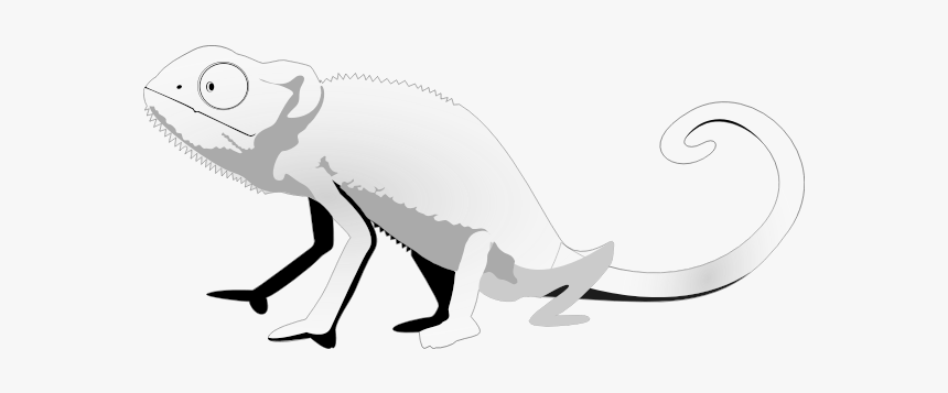 Gecko - Lizard, HD Png Download, Free Download