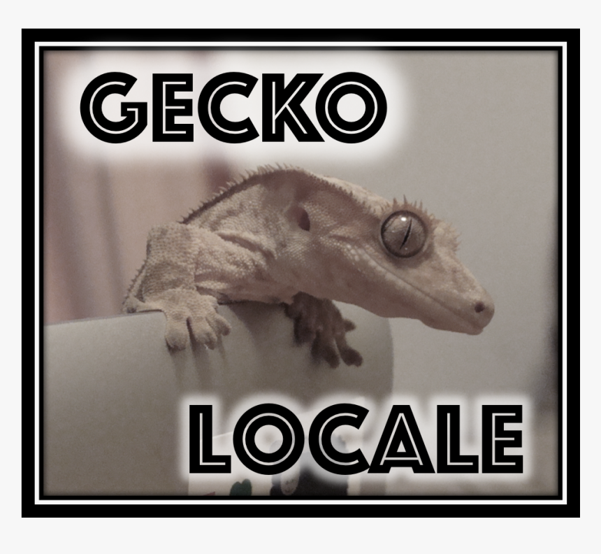 About Gecko Locale - Fotobudka, HD Png Download, Free Download