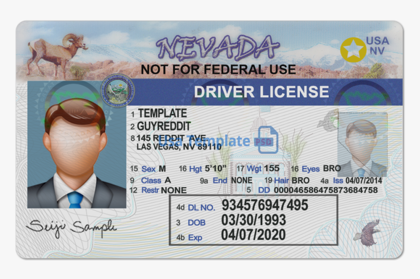 pdf-blank-drivers-license-template