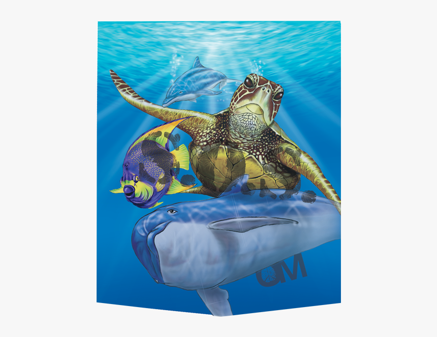 Green Sea Turtle, HD Png Download, Free Download