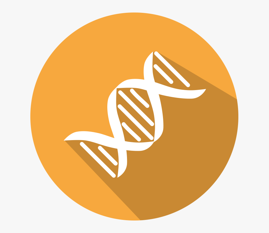 Dna Molecule Vector, HD Png Download, Free Download