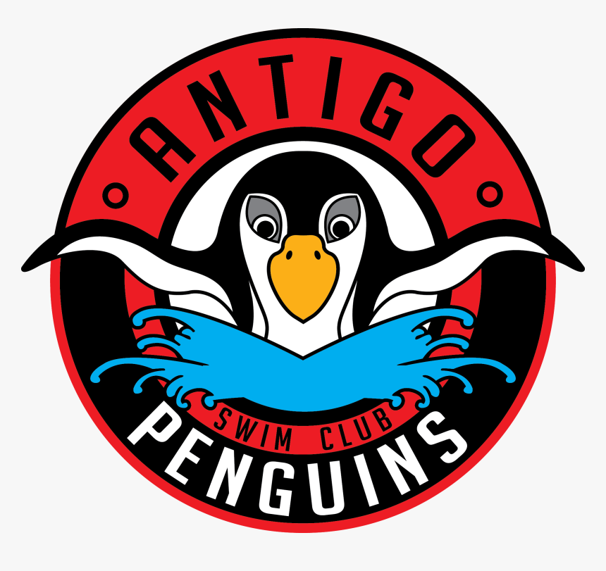 Antigo Swim Club Logo - Penguin Swimming Logo, HD Png Download, Free Download