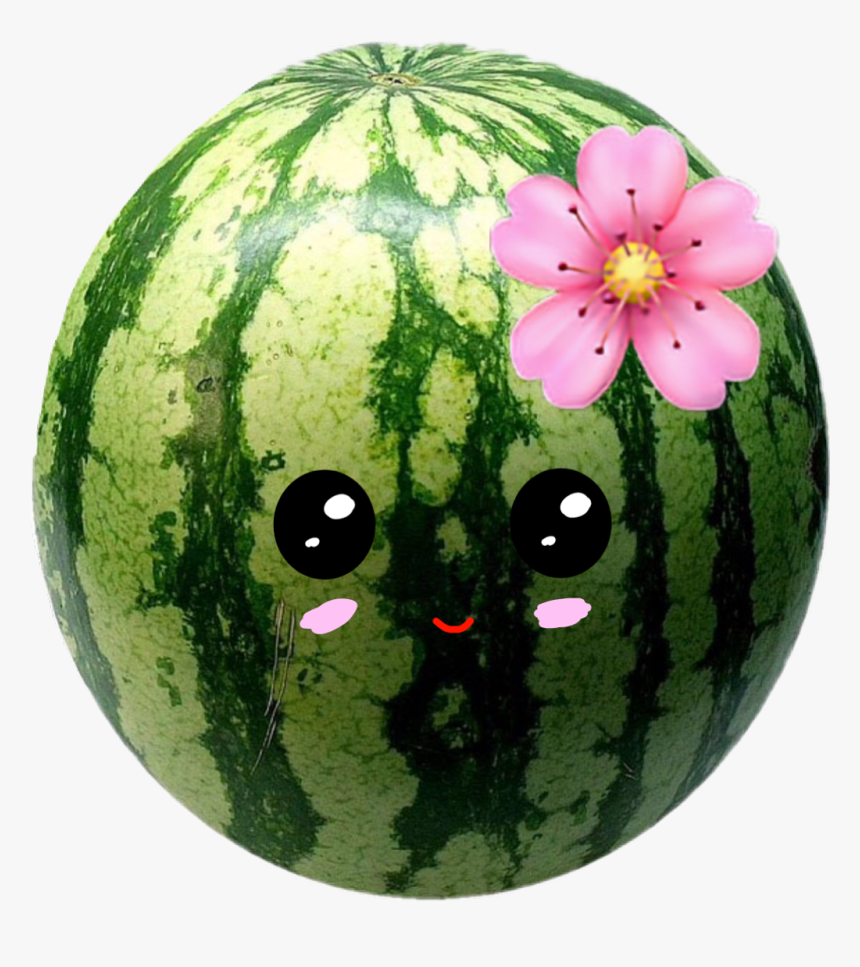 Watermelon Transparent, HD Png Download, Free Download