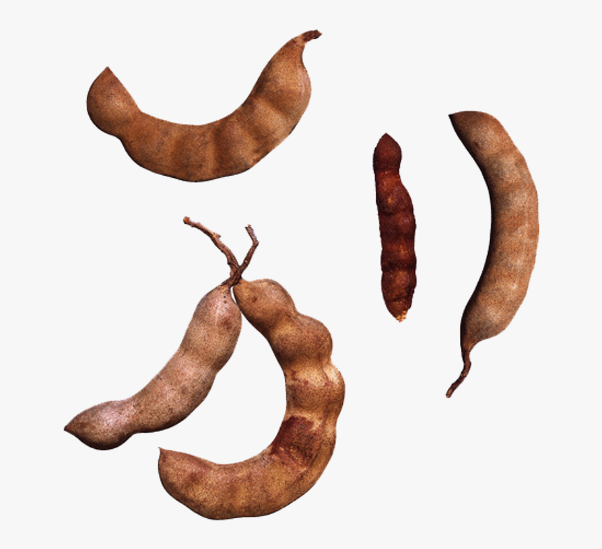 Tamarindo, HD Png Download, Free Download