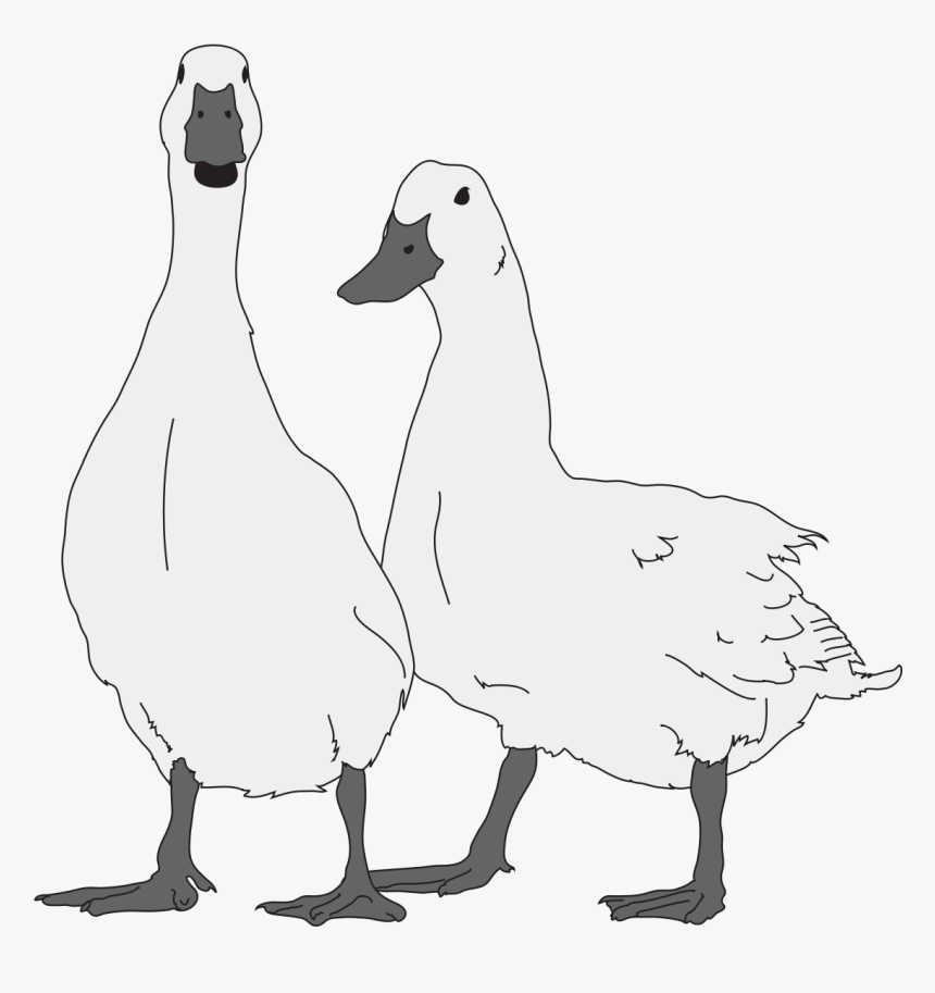 Geese Drawing , Png Download - Goose Tree Clipart Black And White, Transparent Png, Free Download