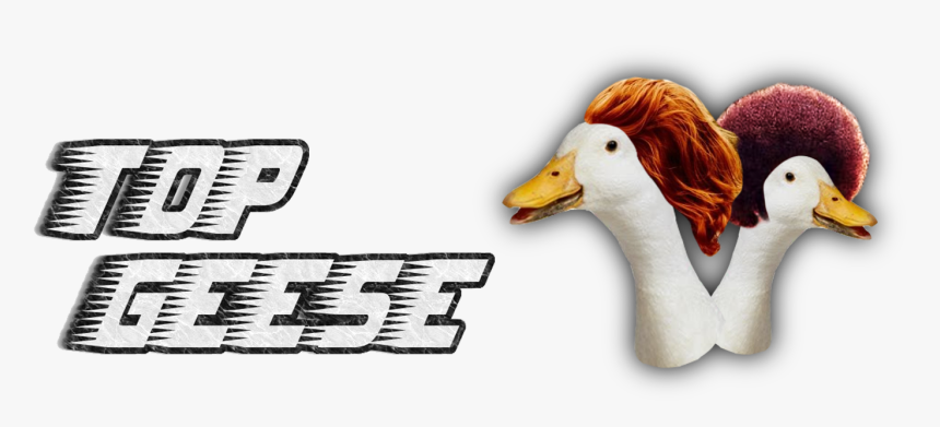 Transparent Geese Png, Png Download, Free Download