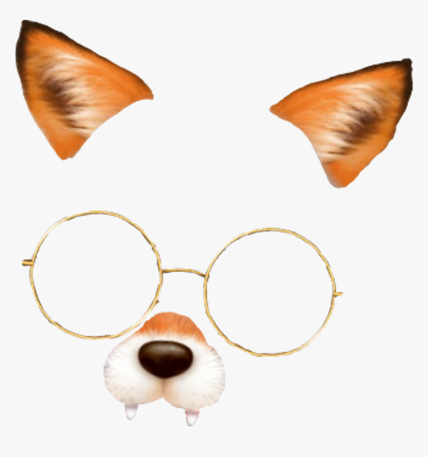 #fox #snow #snowfilter #snowfilters #snapchat #snapchatfilter - Fox Filter Snow Png, Transparent Png, Free Download