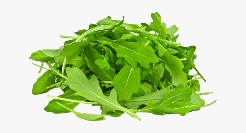 Arugula Leaf Transparent, HD Png Download, Free Download