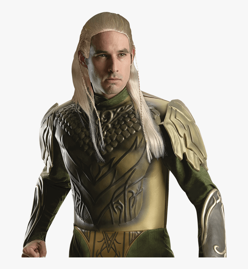 The Hobbit Deluxe Legolas Greenleaf Costume - Legolas Costume, HD Png Download, Free Download