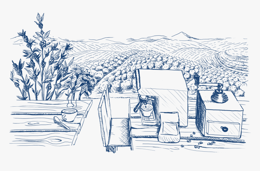 Sketch, HD Png Download, Free Download