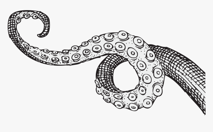 Tentacle Drawing, HD Png Download, Free Download