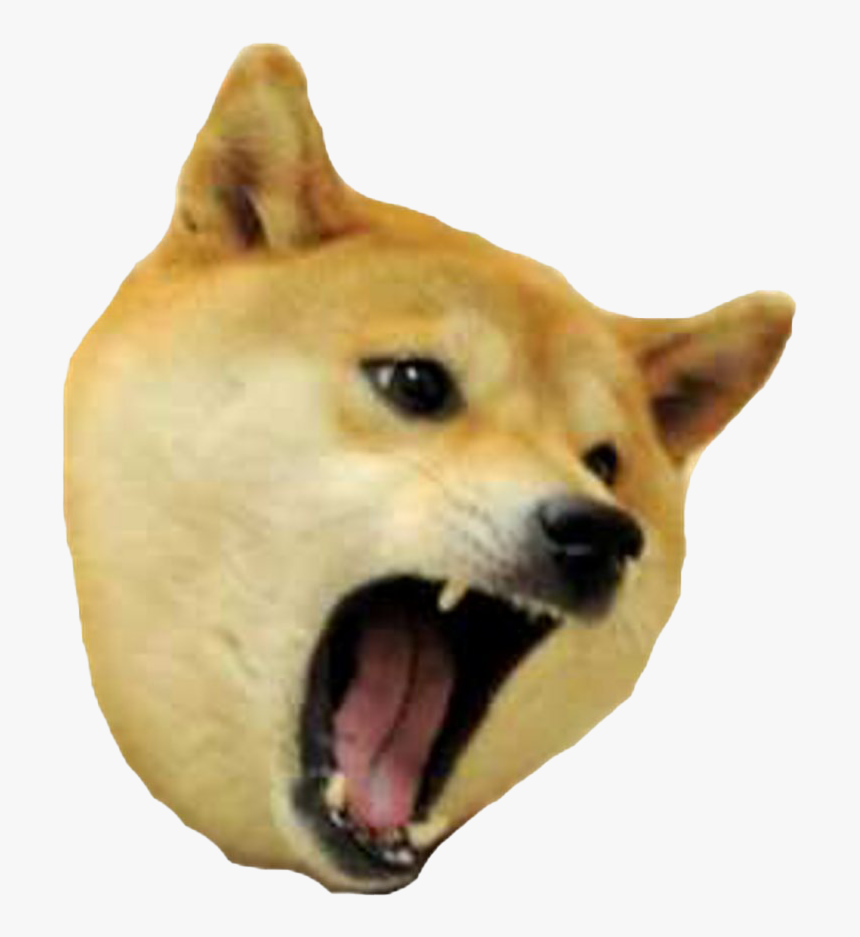 Angry Doge Png