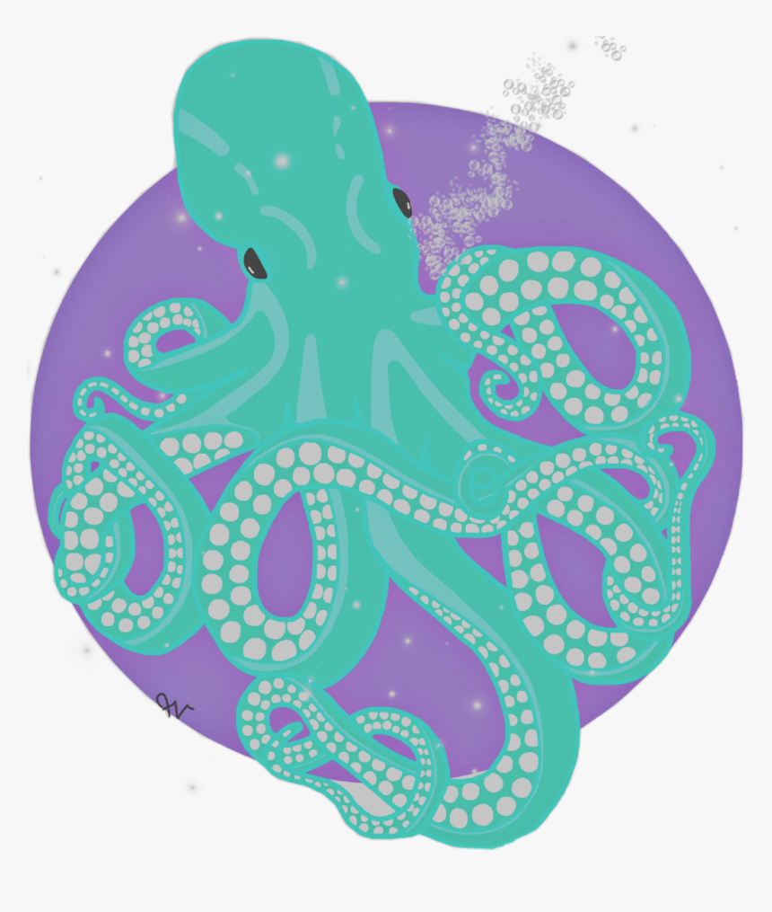 #octopus #cephalopod #tentacles - Illustration, HD Png Download, Free Download