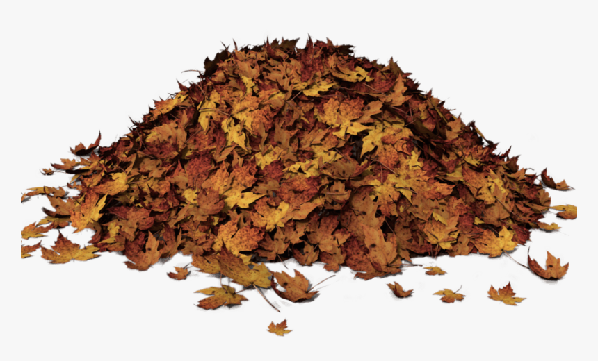 Pile Of Leaves Clip Art, HD Png Download, Free Download