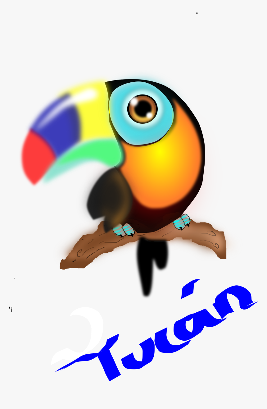 Clipart Tucan, HD Png Download, Free Download