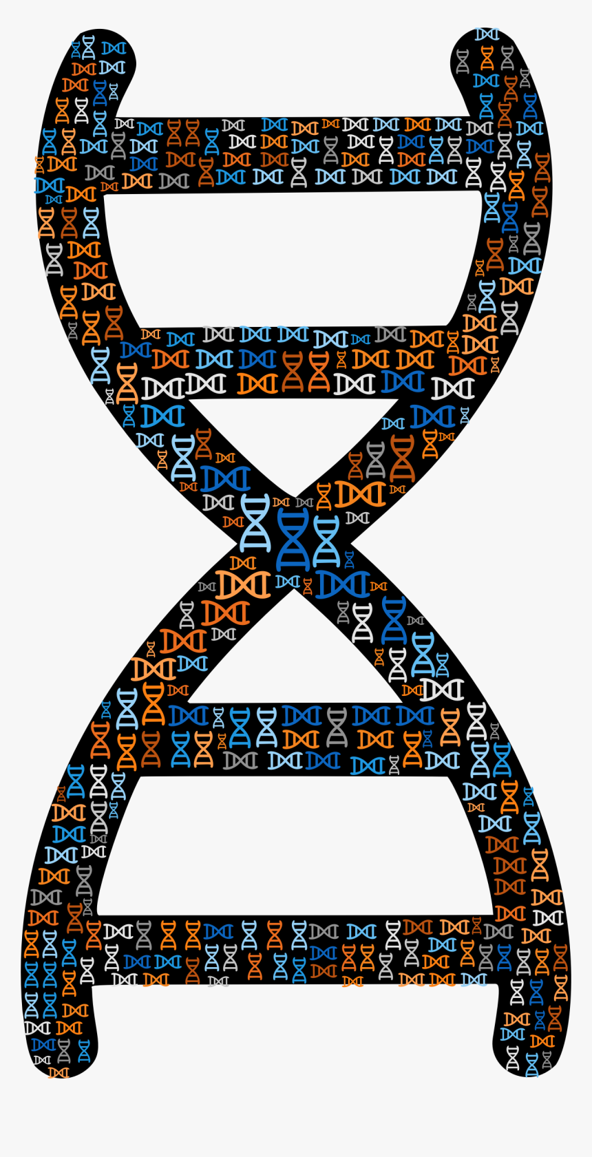 Dna Helix Png - Big Dna, Transparent Png, Free Download