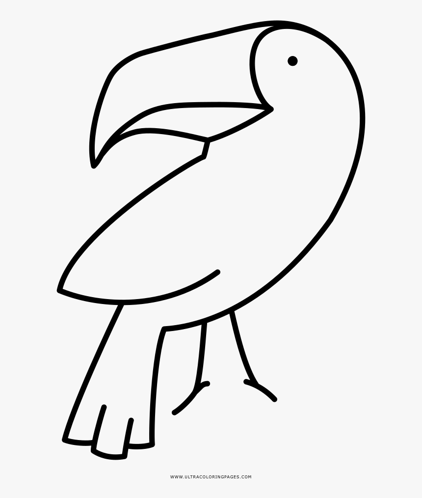 Toucan Coloring Page - Piciformes, HD Png Download, Free Download