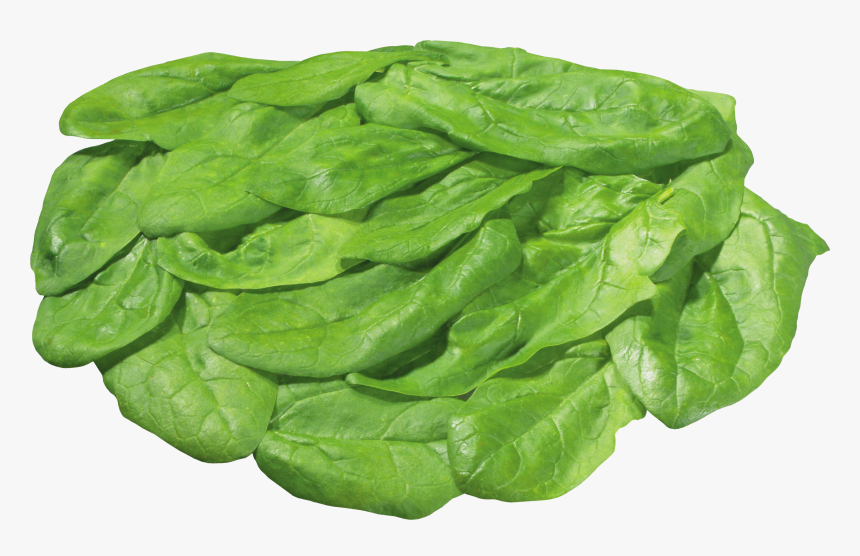 Lettuce With No Background, HD Png Download, Free Download