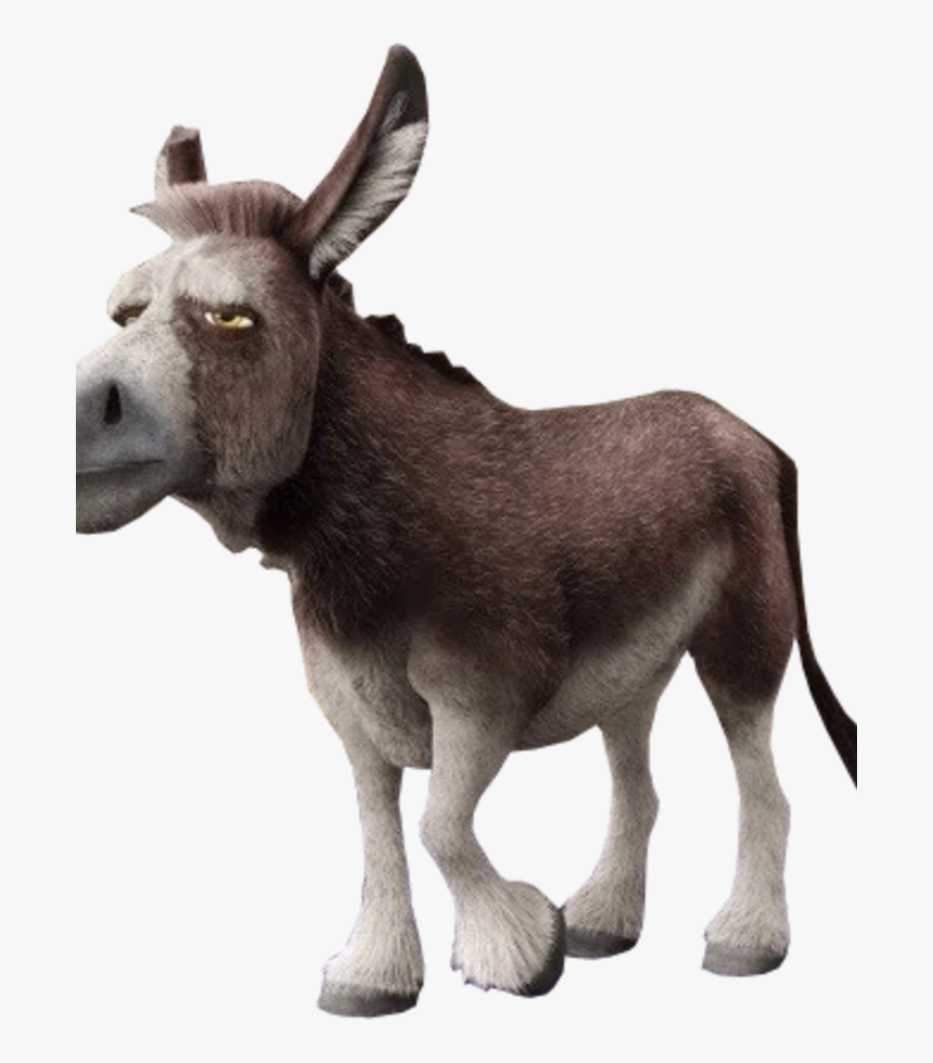 Sony Pictures Animation Wiki - Old Donkey, HD Png Download, Free Download