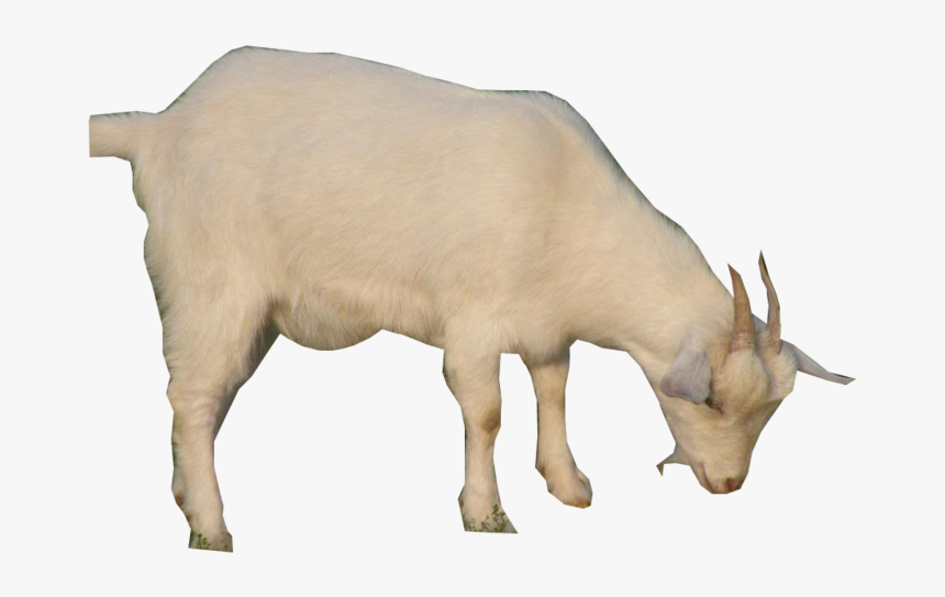 Goat Png Gif, Transparent Png, Free Download