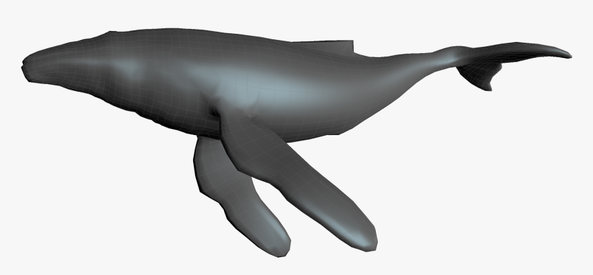 Humpback Whale , Png Download - Inflatable, Transparent Png, Free Download