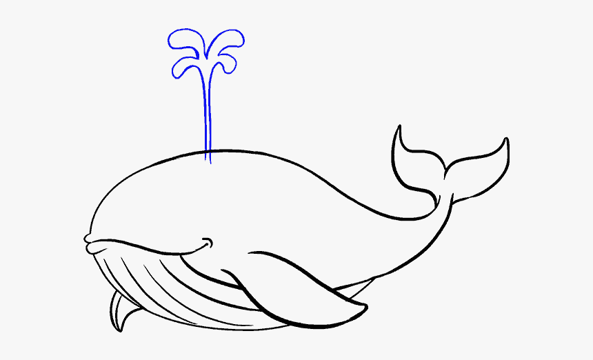 How To Draw Whale - Whale Drawing, HD Png Download, Free Download