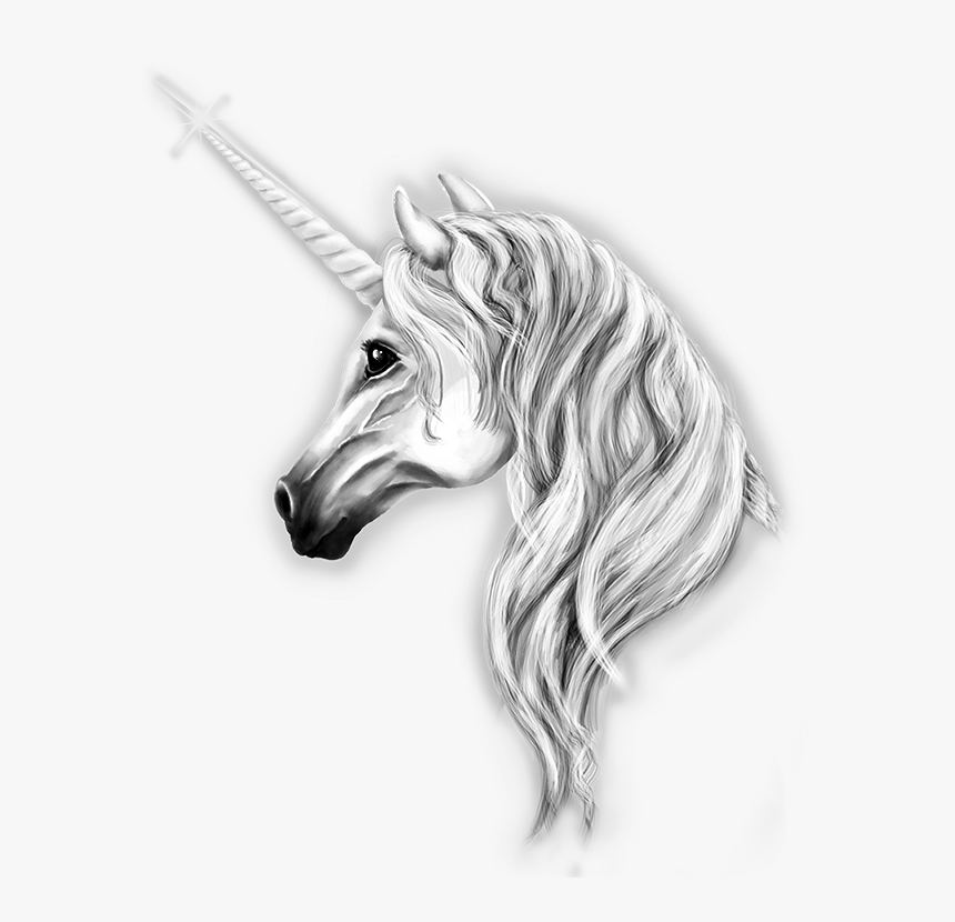 Mystical Png - Hd - Unicorn, Transparent Png, Free Download