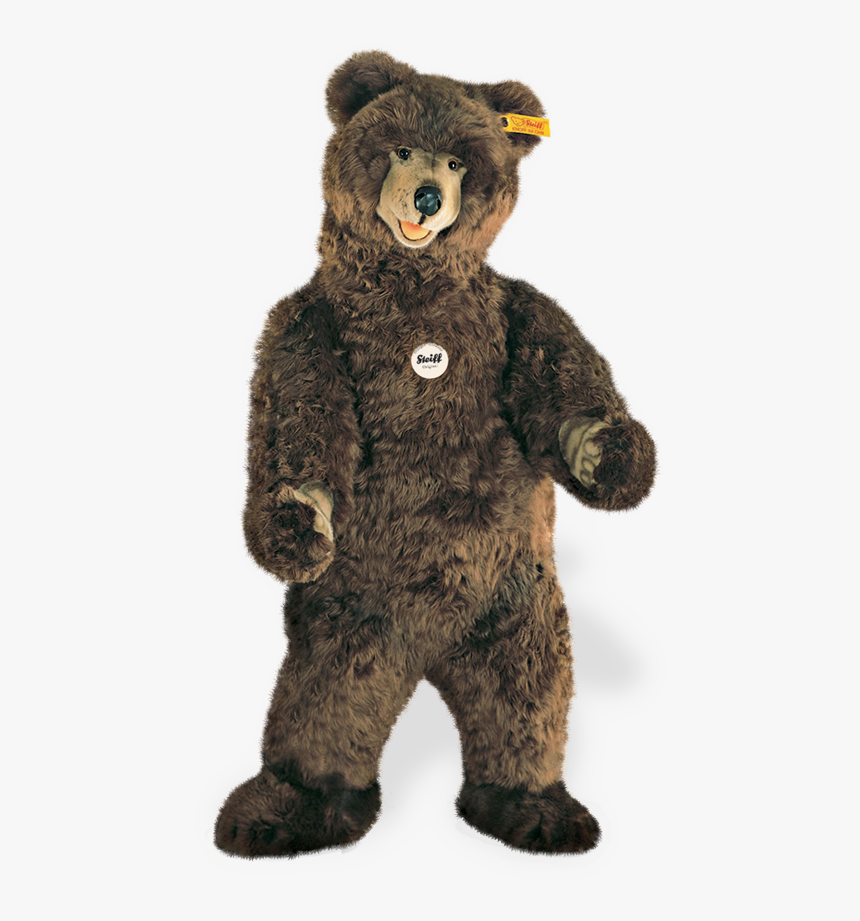 Steiff Bear - Steiff Studio Bear, HD Png Download, Free Download