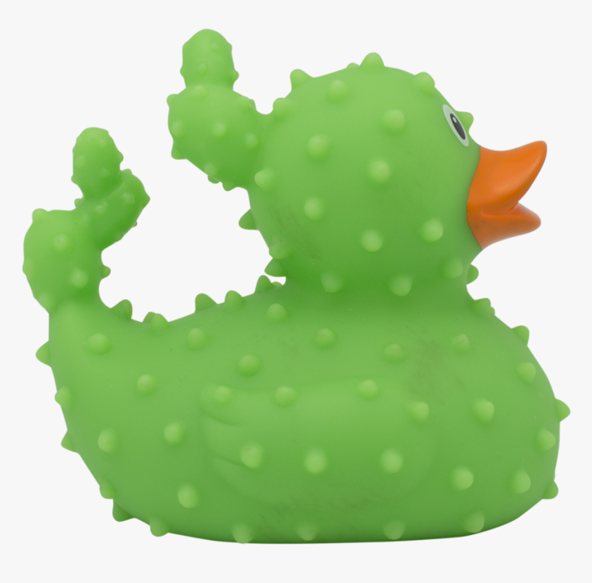 Cactus Rubber Duck By Lilalu - Lilalu, HD Png Download, Free Download