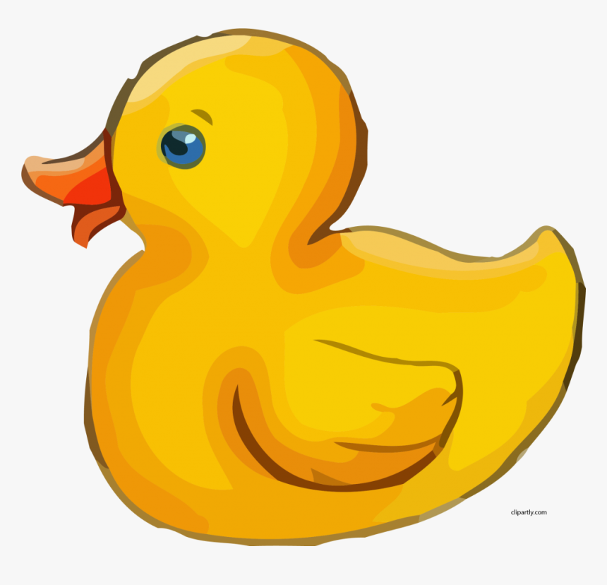 Duck, HD Png Download, Free Download