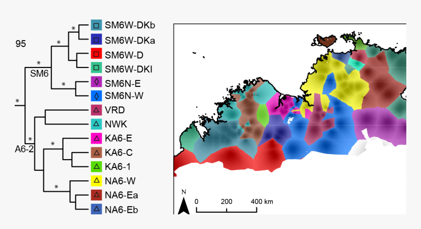 Screenshot, HD Png Download - kindpng